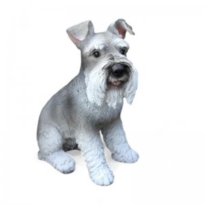 Zwergschnauzer (9780)
