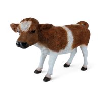 Kalb braun weiß