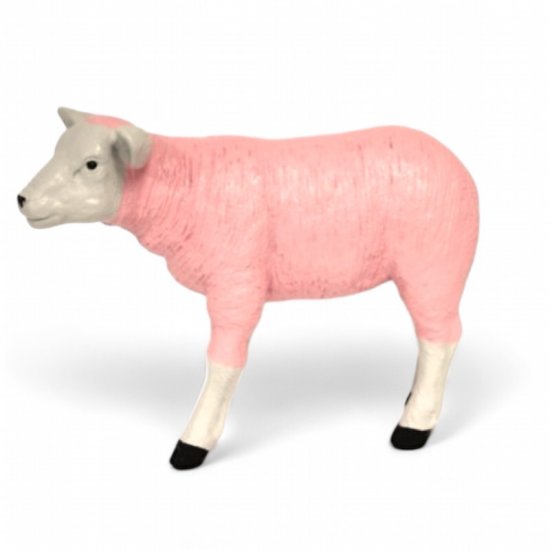 Lamm rosa - zum Schließen ins Bild klicken