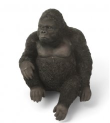 Gorilla Kantenhocker