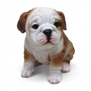 Bulldogge sitzend, braun