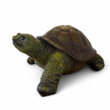 Schildkröte klein