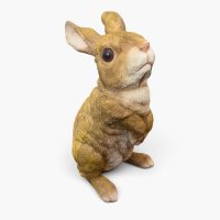 Hase Hase