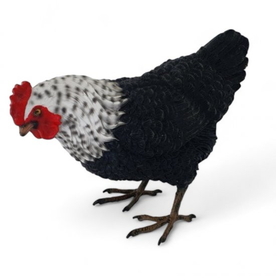 Henne stehend - zum Schließen ins Bild klicken