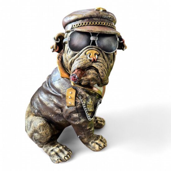 Bulldogge mit Mütze - zum Schließen ins Bild klicken