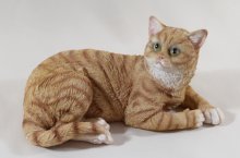 Katze liegend groß, braun