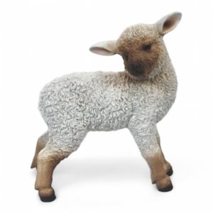 Schaf stehend-03366
