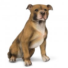 Bullterrier sitzend