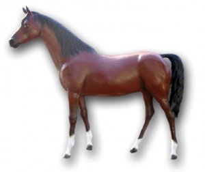 Pferd