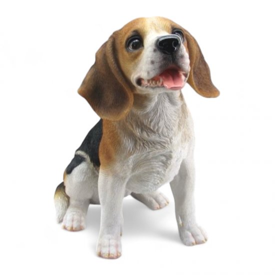 Beagle sitzend - zum Schließen ins Bild klicken
