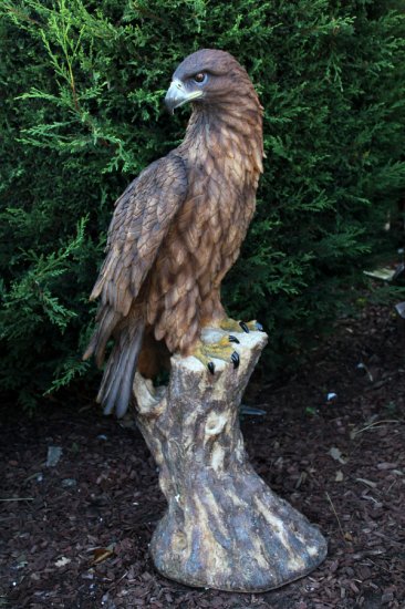 Adler auf Baumstamm - zum Schließen ins Bild klicken