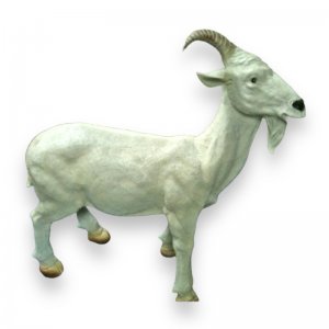 Ziegenbock