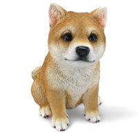 Shiba Inu sitzend