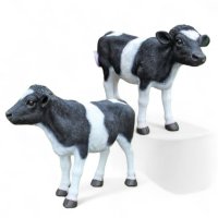 Kalb mollig
