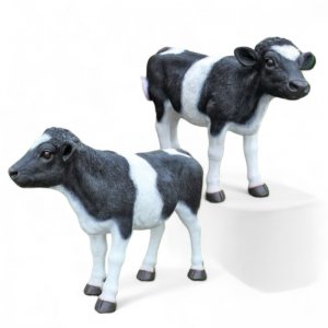 Kalb mollig