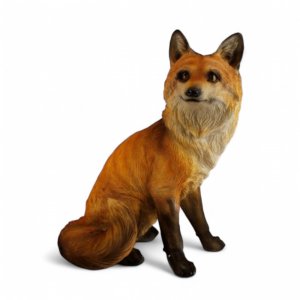 Fuchs sitzt