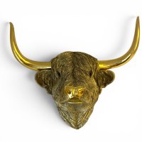 Highland Cattle Kopf