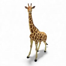 Giraffe stehend