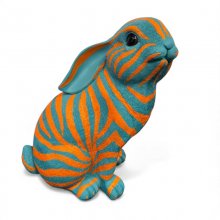 Hase Zebra, klein