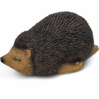 Igel schlafend