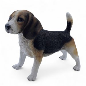 Beagle stehend