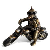 Affe auf Motorrad