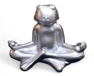 Frosch Medi silber