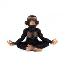 Yoga Schimpanse