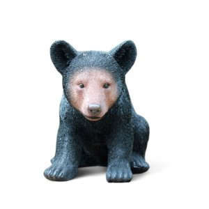 Braunbär sitzt