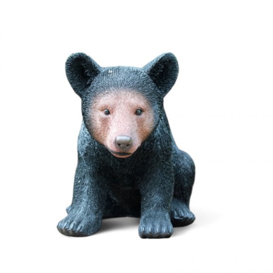 Braunbär sitzt - zum Schließen ins Bild klicken