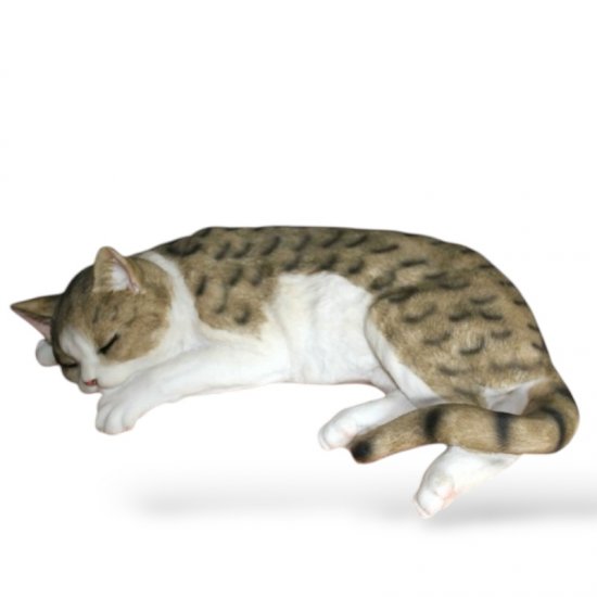 Katze schlafend - zum Schließen ins Bild klicken