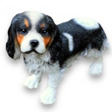 Prinz Charles Hund