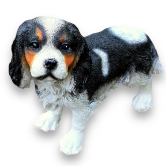 Prinz Charles Hund - zum Schließen ins Bild klicken