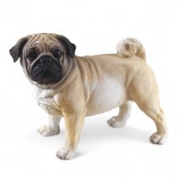 Mops stehend