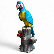 Papagei blau