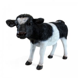 Kalb schwarz weiss