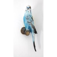 Papagei blau, Wanddeko