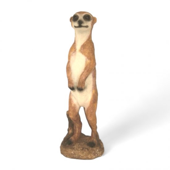 Erdmännchen - zum Schließen ins Bild klicken