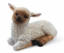 Schaf liegend-03367
