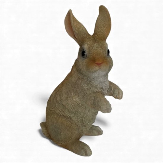 Hase - zum Schließen ins Bild klicken