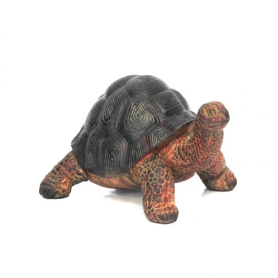 Schildkröte - zum Schließen ins Bild klicken