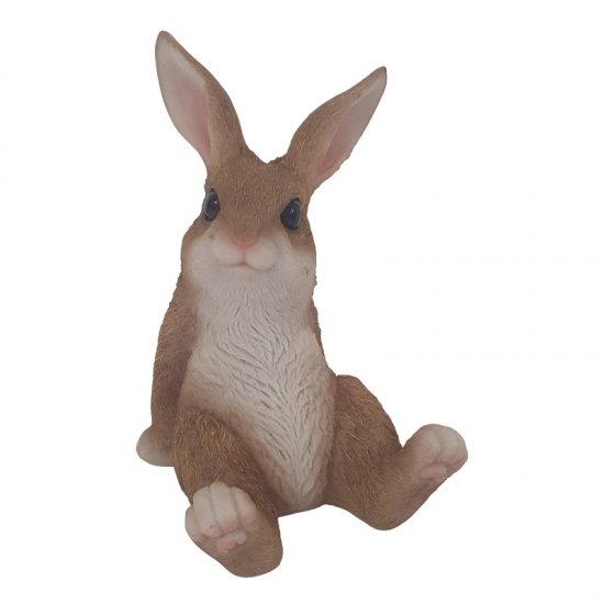 Hase - zum Schließen ins Bild klicken