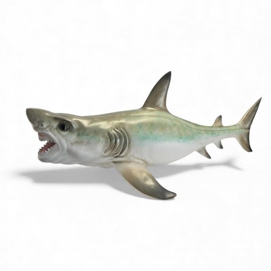 Hai groß - zum Schließen ins Bild klicken