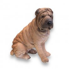 Shar Pei