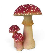 Fliegenpilz