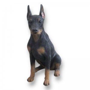 Dobermann