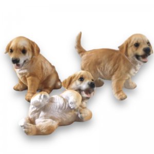Retriever Welpen 3er Set