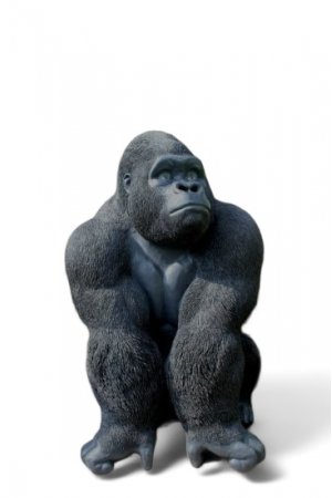 Gorilla Silberrücken, groß