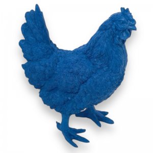 Henne stehend blau