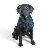 Labrador schwarz